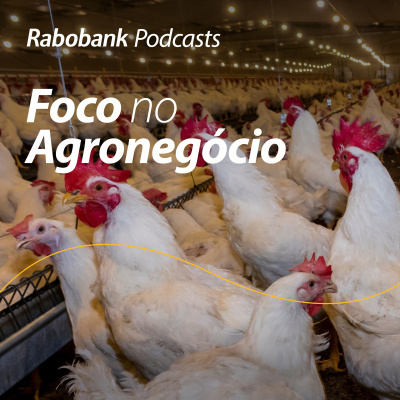 Foco No Agronegócio - Pesquisa Setorial