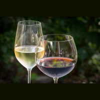Vinhos de Portugal: evento tem mais de 650 rótulos e atividades diversas no Parque Ibirapuera