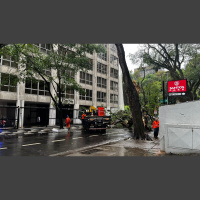 Rajadas de até 100 km/h mantêm Defesa Civil em alerta em SP