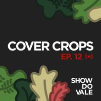 Ep.12 - Cover Crops, Regenerar Solos Com Plantas e Muito Mais
