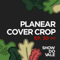 Ep.30 - Planear uma mistura de Cover Crop (plantas de cobertura)