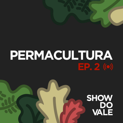 Show Do Vale