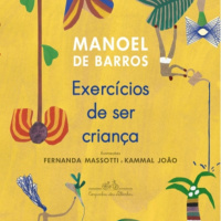 O menino que carregava água na peneira