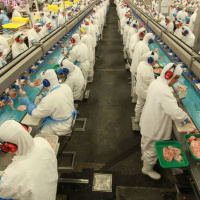 Gigantes do setor de carne têm prejuízo de R$ 4 bi