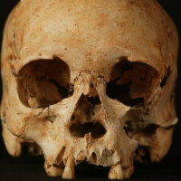 Luzia, o fóssil humano mais antigo das Américas, pode ter resistido às chamas que destruíram o Museu Nacional no último domingo