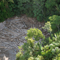 Pesquisa feita pelo Instituto Ibope Inteligência para o WWF-Brasil (Fundo Mundial para a Natureza) revela que o desmatamento, a poluição das águas, a caça e a pesca ilegais e as mudanças climáticas são, na opinião dos brasileiros, as principais ameaças ao