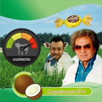 Coqueirocast #74 - Gadocast - Especial DIA DOS NAMORADOS