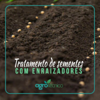 Tratamento de sementes com enraizadores.