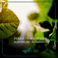 Indução de resistência