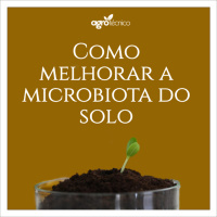 Microbiota do solo