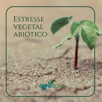 Estresse abiótico