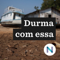 Falta de comida, botos mortos: os efeitos da seca na Amazônia