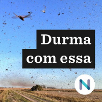 A nuvem de gafanhotos na fronteira da região Sul do Brasil | 25.jun.20