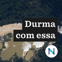 A operação para retirar garimpeiros da terra Yanomami