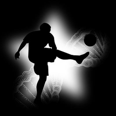 Dna Botafogo