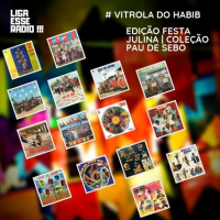 VITROLA DO HABIB EPISODIO 129- VITROLA DO HABIB EDIÇÃO FESTA JUNINA 2019 : COLEÇÃO PAU DE SEBO