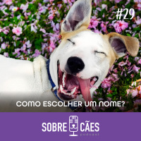 Como escolher o nome do Cachorro - Sobre Cães