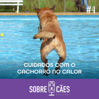 Dicas para o Calor - Sobre Cães 04