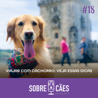 Viajar com Cachorro - Dicas e histórias - Sobre Cães 18