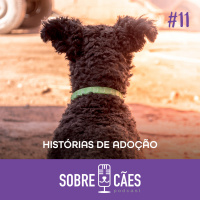 Histórias de Adoção - Cachorros Adotados - Sobre Cães 11