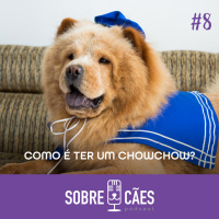 Chow Chow - Como será que é ter um