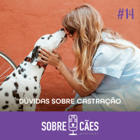 Castração - Veja principais dúvidas sobre castrar seu cachorro - Sobre Cães 14