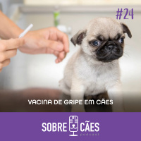 Importância da vacina de Gripe para cães - Sobre Cães