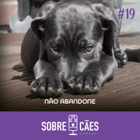 Não compre Adote - Por que isto está errado - Sobre Cães