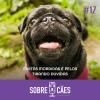 Muitas Mordidas e Pelos - Tirando dúvidas - 12