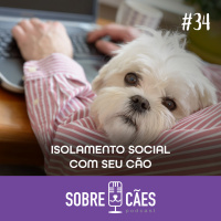 Como está sendo a quarentena com Sam? - Sobre Cães