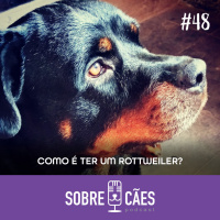Como é ter um Rottweiler - Conversamos com um criador