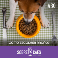 Como escolher a ração para seu Cachorro - Whypetz e Sobre Cães