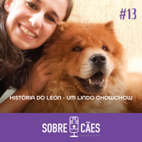 História do Leon um Lindo Chow Chow - Sobre Cães 13