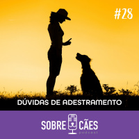 Dicas de Adestramento - Tirando Dúvidas - Sobre Cães - Tudo sobre Cachorros