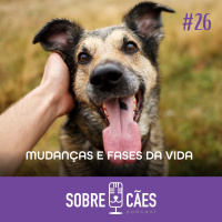 Transformações que os Pets nos proporcionam - Sobre Cães e Petiko