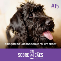Criação do Labradoodle foi um erro? - Novo quadro do Sobre Cães