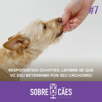 Alimentação e outras Dúvidas - Sobre Cães 07
