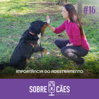 Adestramento - Importância de adestrar seu cachorro - Sobre Cães