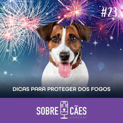 Sobre Cães