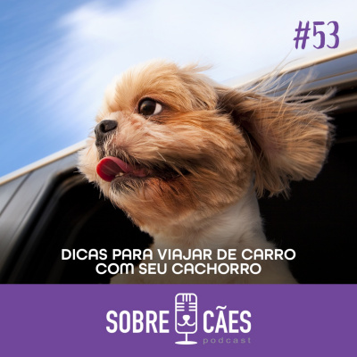 Sobre Cães