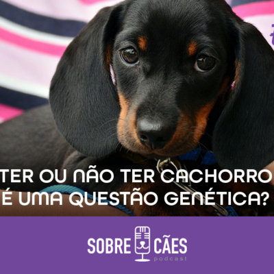 Sobre Cães