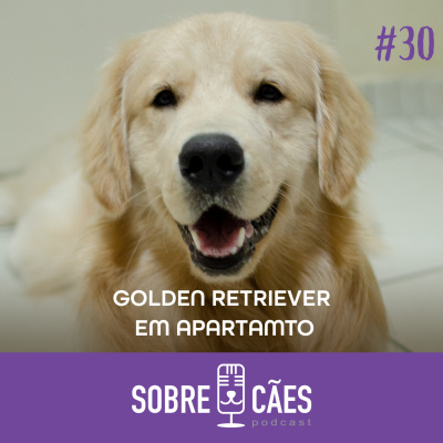 Sobre Cães