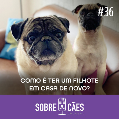 Sobre Cães