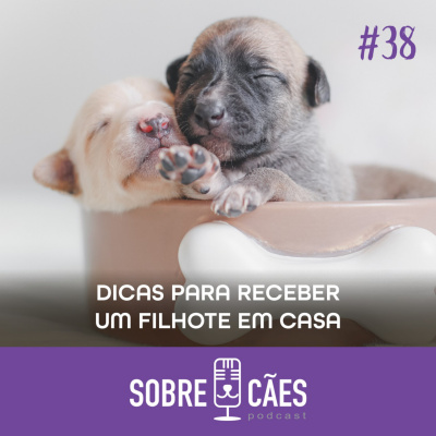 Sobre Cães