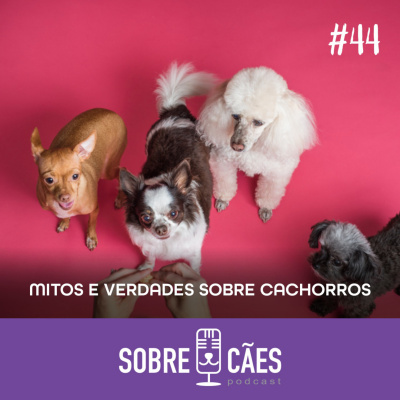 Sobre Cães