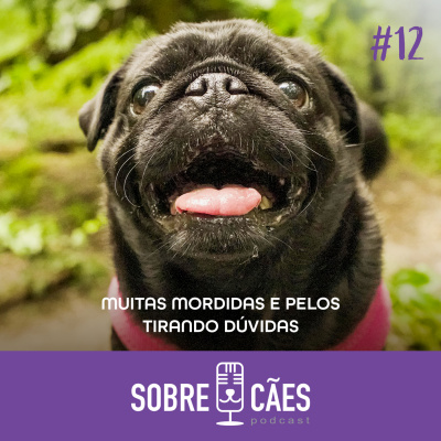 Sobre Cães