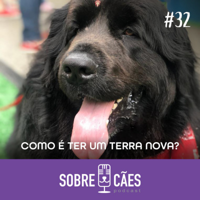 Sobre Cães
