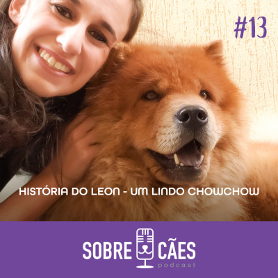 Sobre Cães