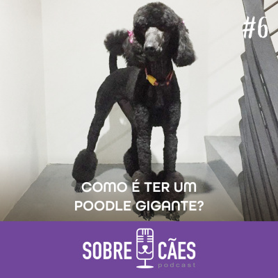 Sobre Cães