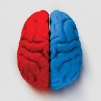 Esquerda x Direita: Qual lado você está?